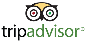 TripAdvisor-logo-